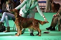 Crufts2011 043